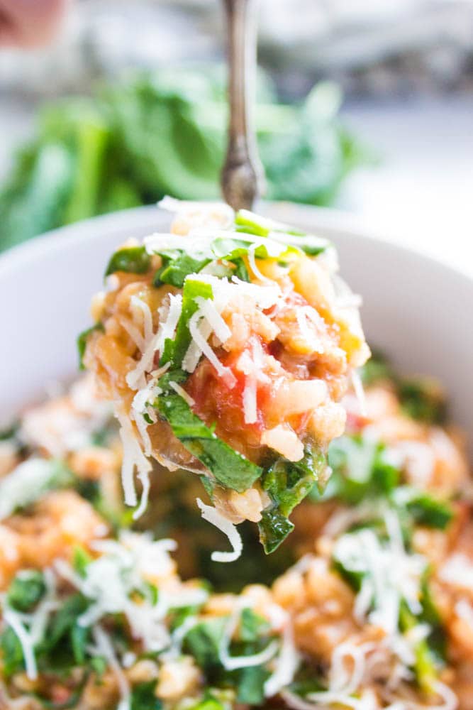 close up photo of spoon with Tomato Sausage Risotto on it, over a bowl of risotto