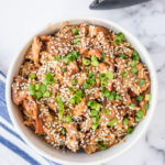 overhead photo of a bowl of honey garlic chicken