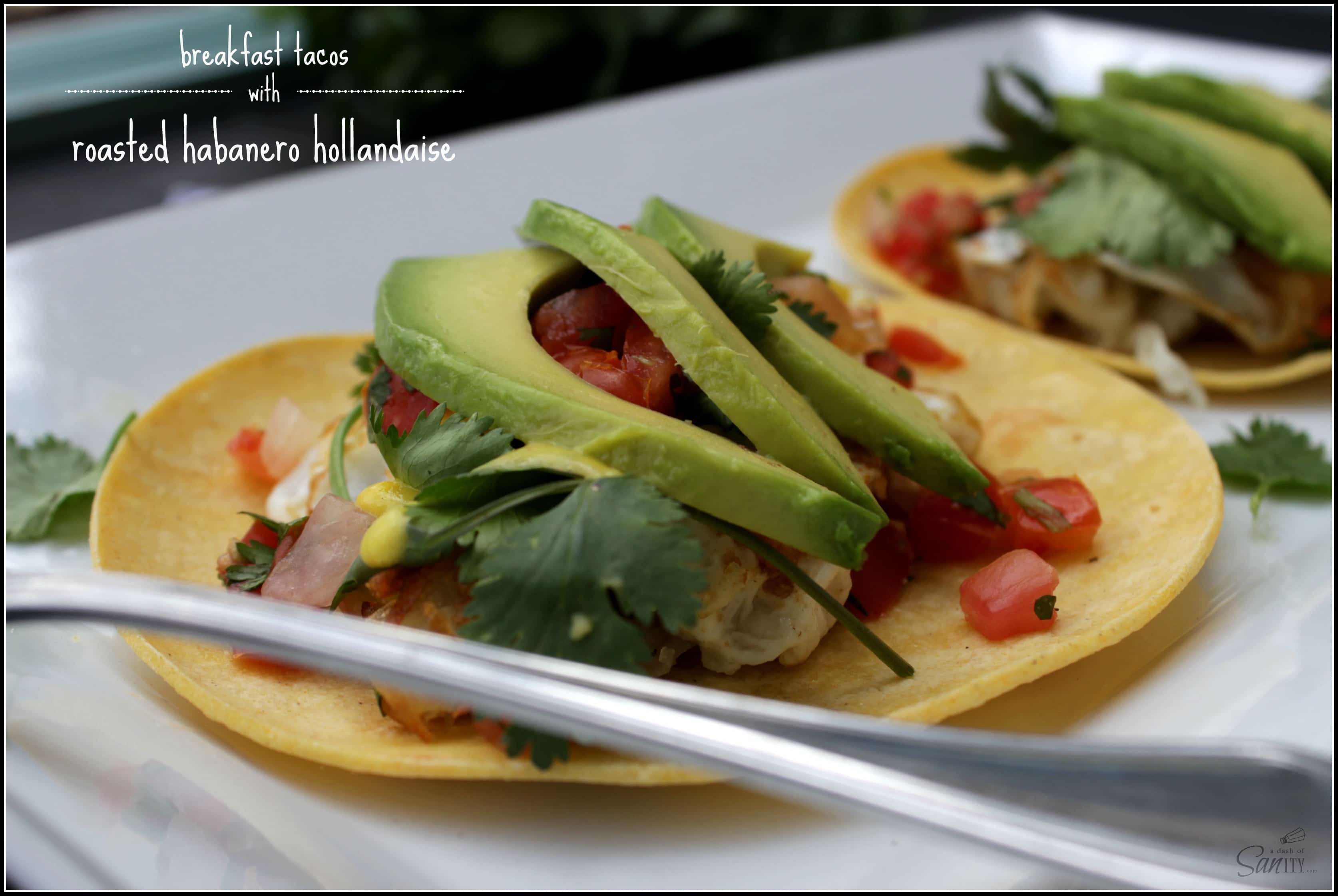 Breakfast Tacos with Roasted Habanero Hollandaise