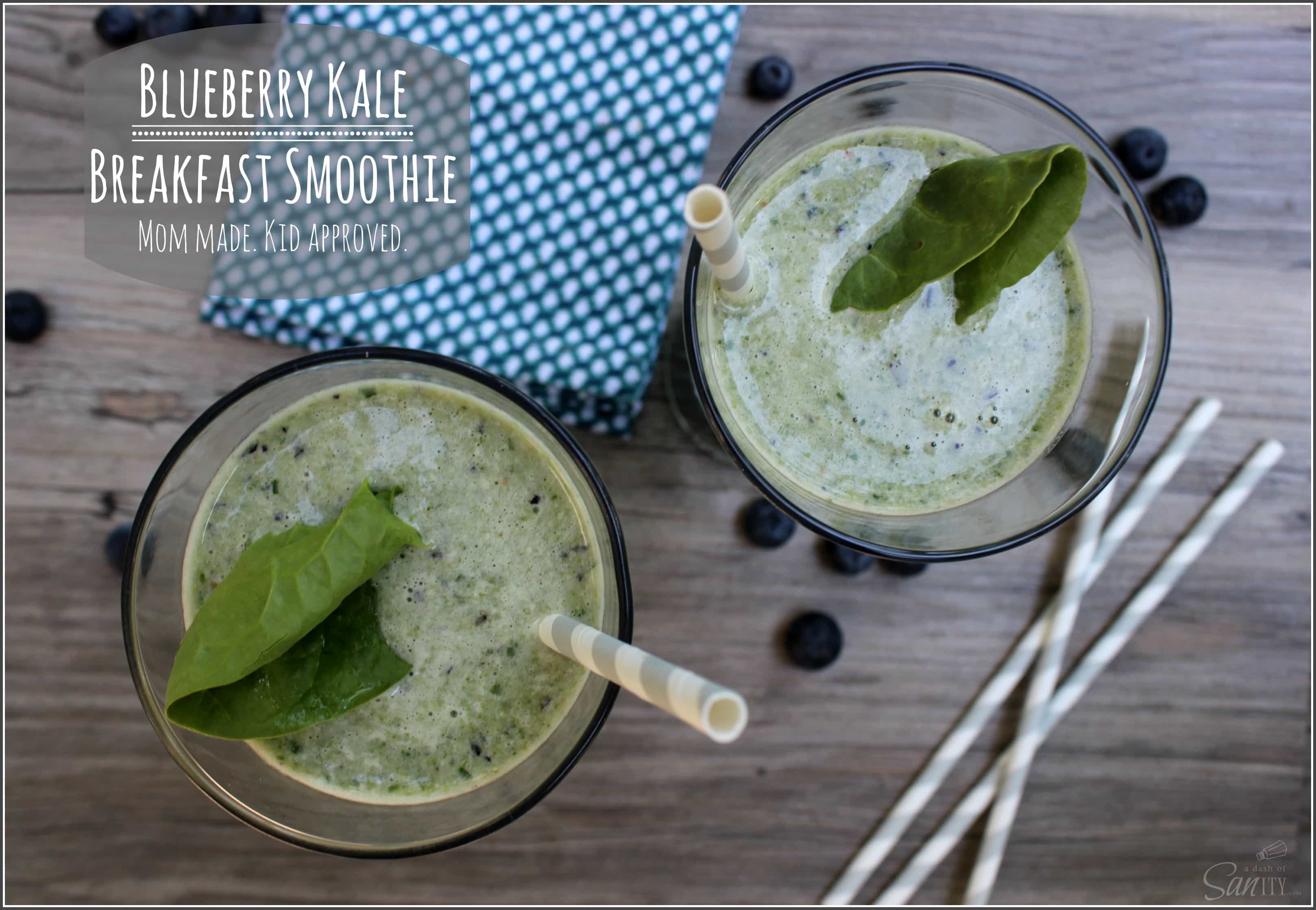 Blueberry Kale Breakfast Smoothie | a.k.a Smurf Smoothie