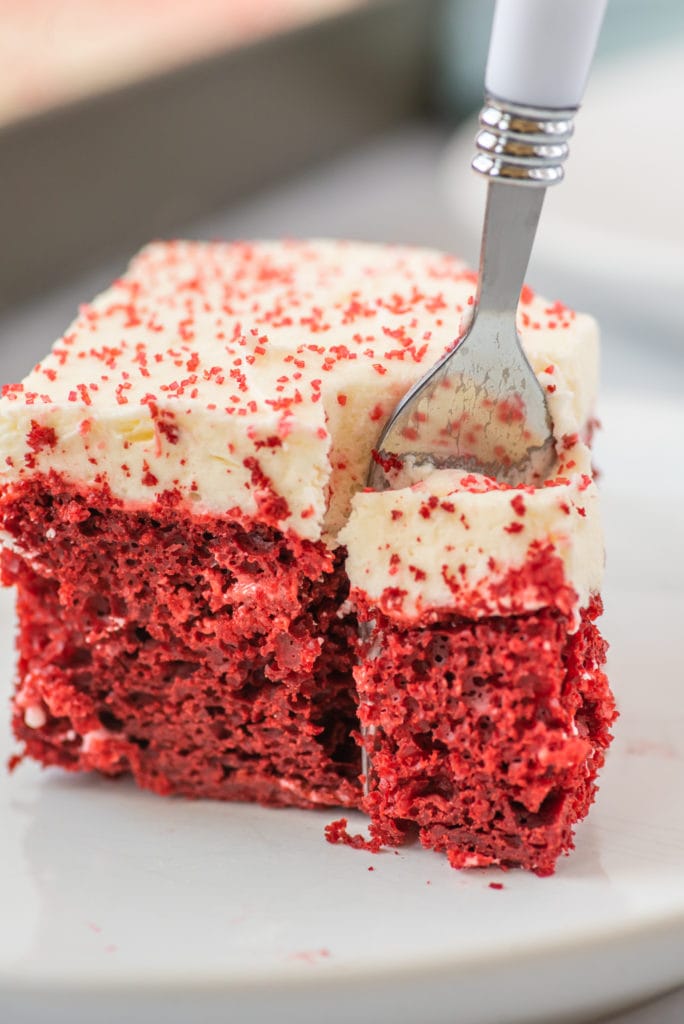 photo of a slice of cake on a plate