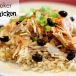 08 - Lady Behind the Curtain - Slow Cooker Mexican Fiesta Chicken