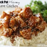 20 - Chef in Training - Crockpot Honey Sesame Chicken