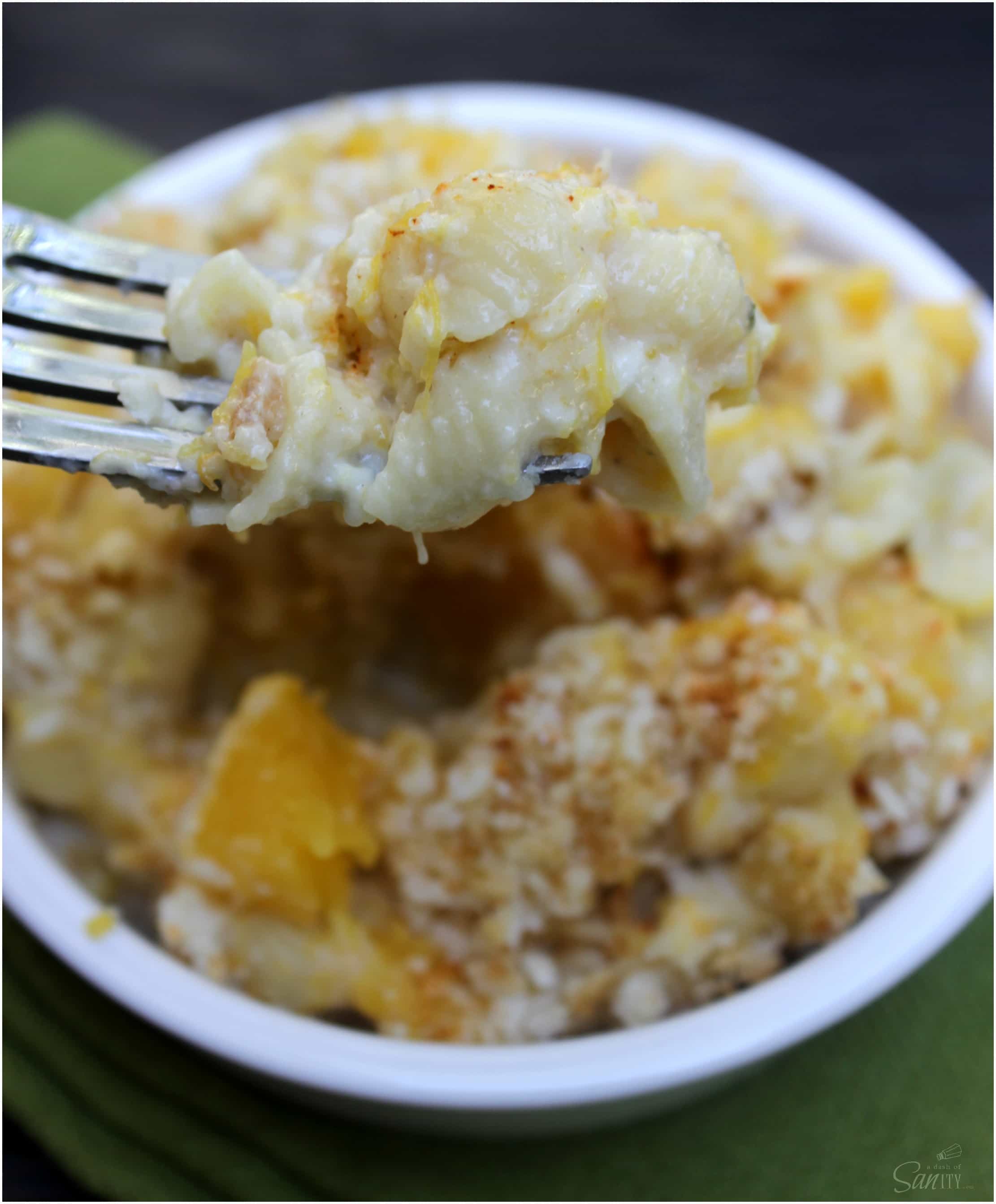 This creamy Butternut Squash Mac & Cheese is a twist on an American classic with a hint of fall. This healthier take will become a family favorite.