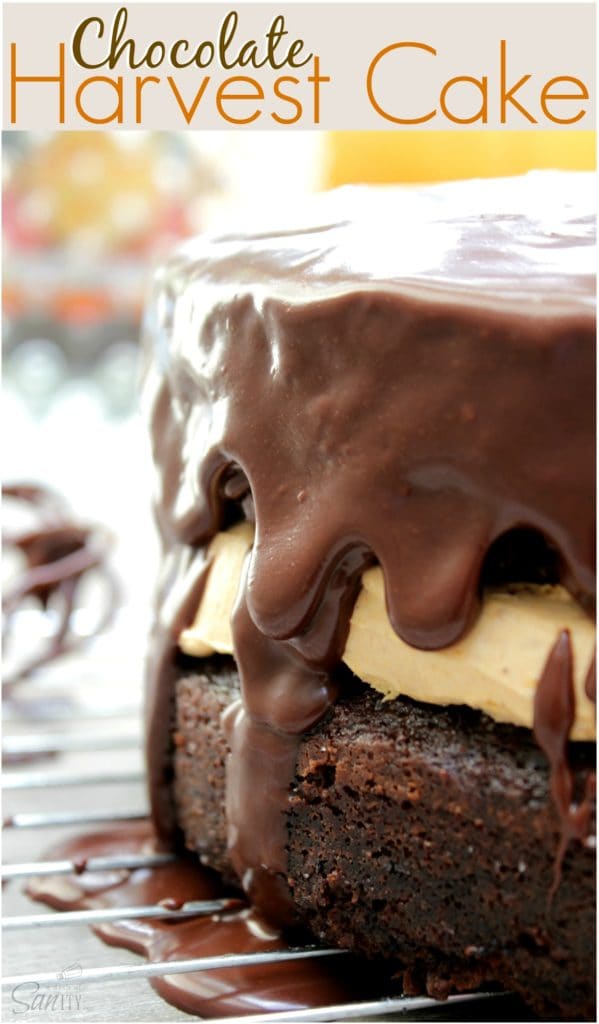chocolate harvest cake
