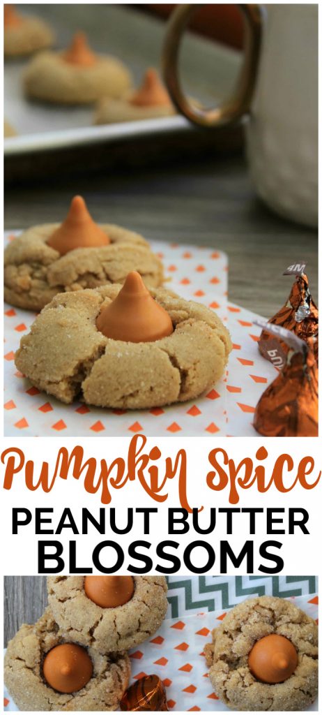 These Pumpkin Spice Peanut Butter Blossoms are a pumpkin-spice peanut butter cookie topped with a Pumpkin Spice Hershey Kiss. They are a perfect fall treat. Pumpkin Spice Peanut Butter Blossoms pinterest image