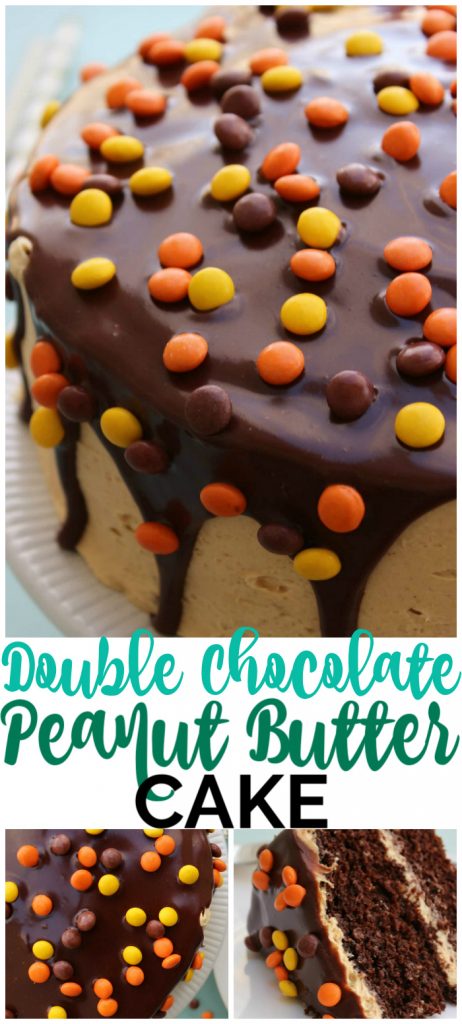 Double Chocolate Peanut Butter Cake pinterest image