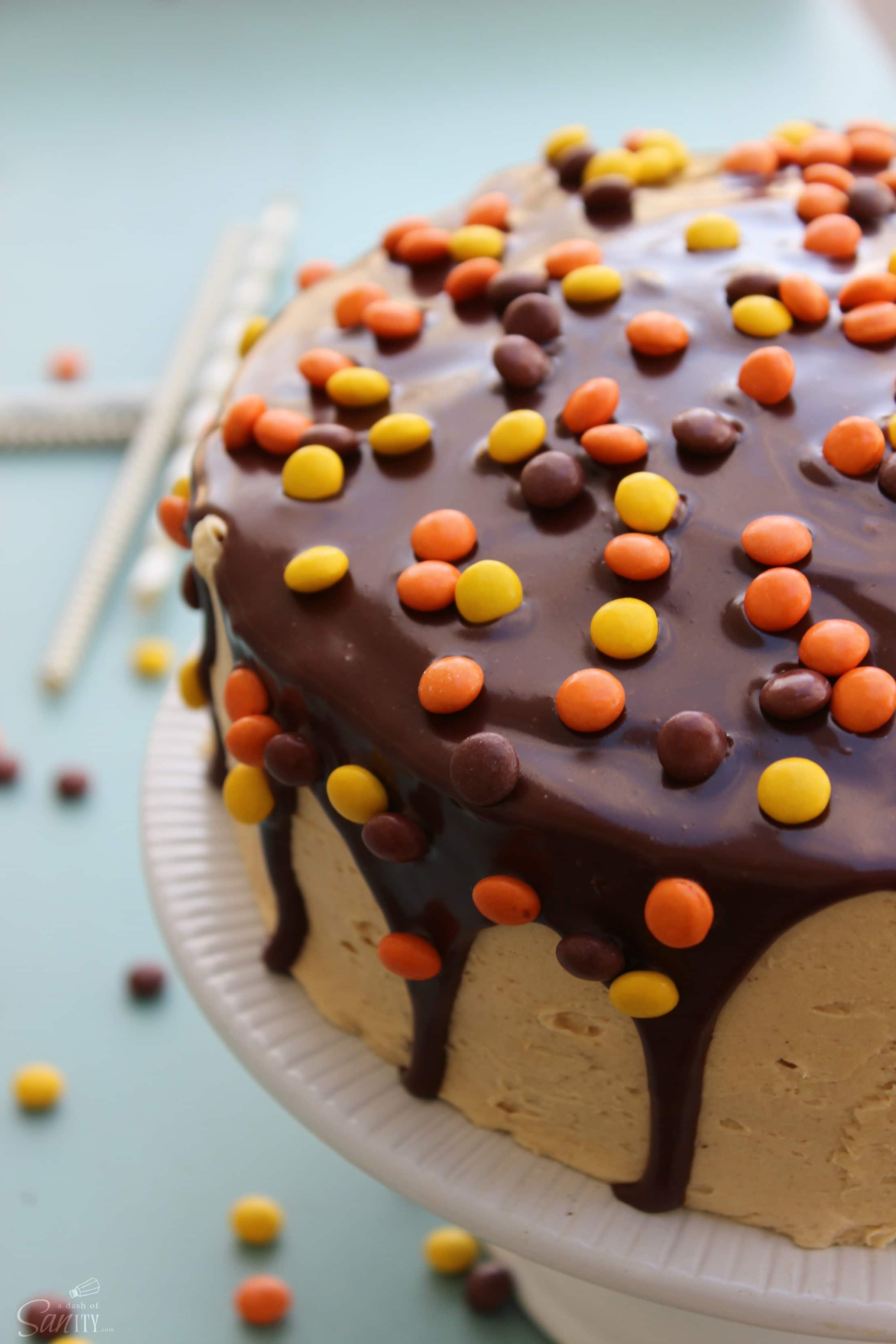Double Chocolate Peanut Butter Cake is the ultimate birthday cake. Moist chocolate cake with a peanut butter buttercream, topped off with chocolate ganache.