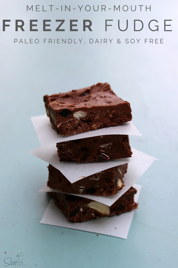 Freezer Fudge, Paleo Friendly, Dairy & Soy Free