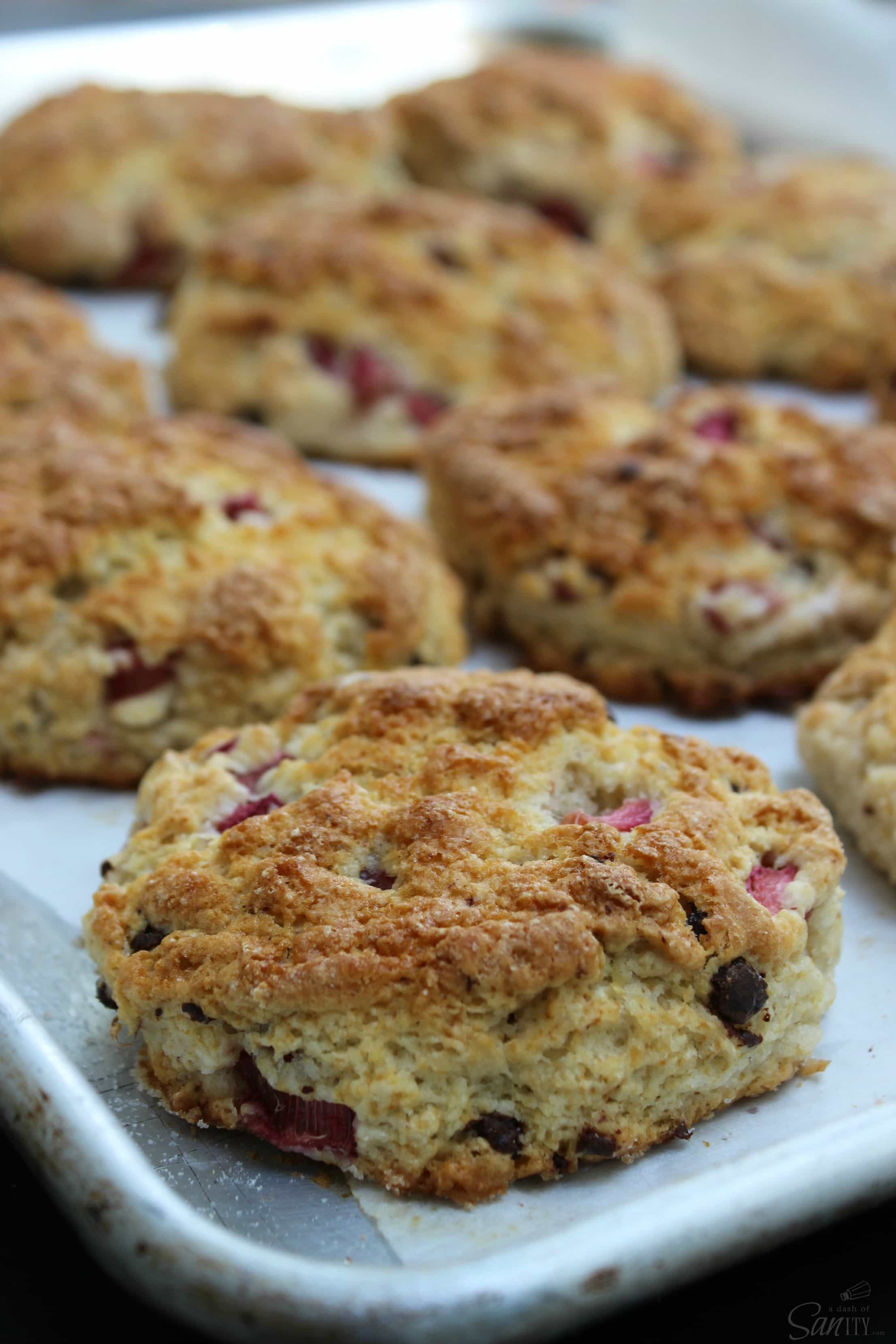 Strawberry & Rhubarb Chocolate Chip Shortcakes is a homemade rhubarb & chocolate chip biscuit, with fresh strawberries, whipped cream, & chocolate shavings. Strawberry & Rhubarb Chocolate Chip Shortcakes is a homemade rhubarb & chocolate chip biscuit, with fresh strawberries, whipped cream, & chocolate shavings.