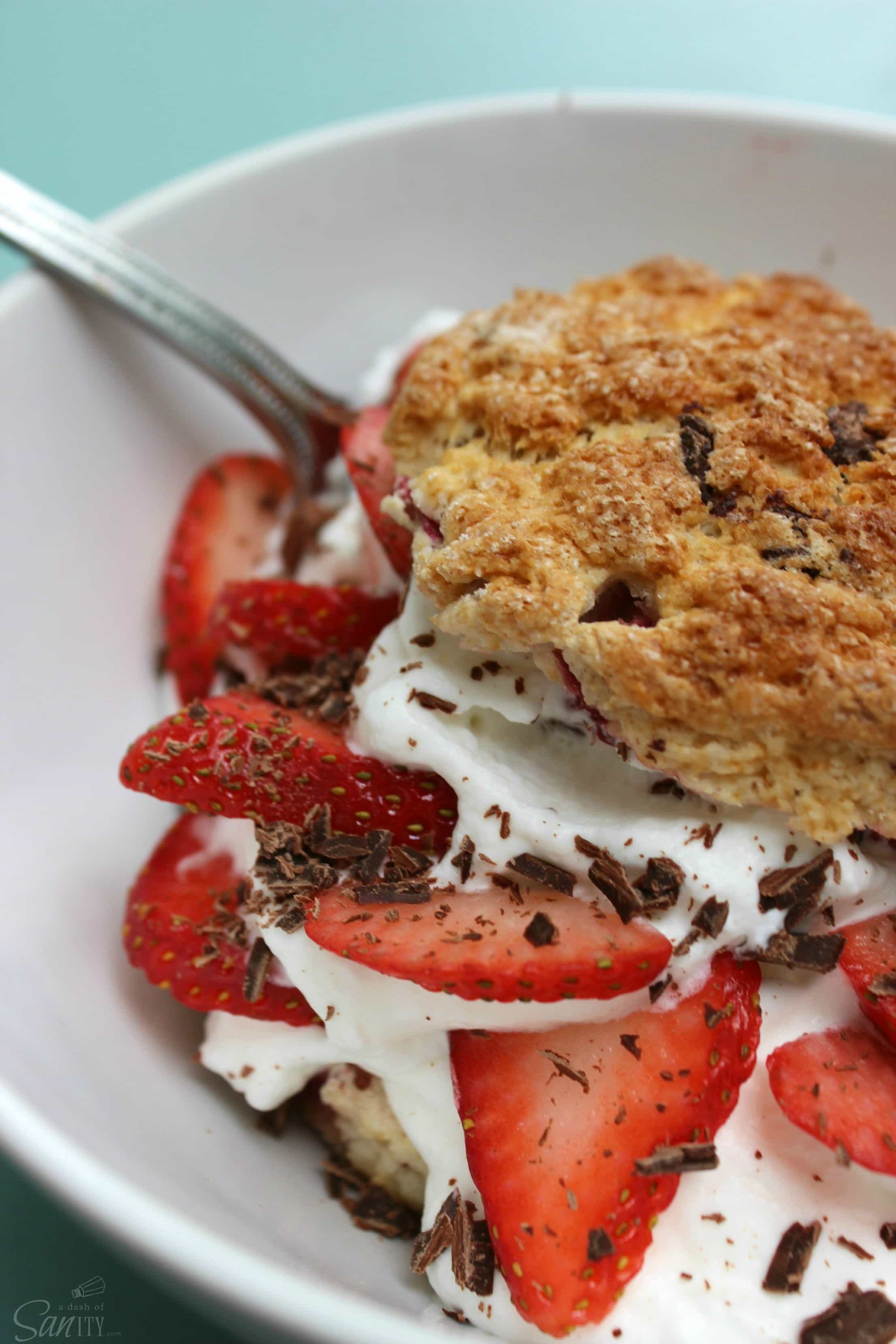 Strawberry & Rhubarb Chocolate Chip Shortcakes is a homemade rhubarb & chocolate chip biscuit, with fresh strawberries, whipped cream, & chocolate shavings. Strawberry & Rhubarb Chocolate Chip Shortcakes is a homemade rhubarb & chocolate chip biscuit, with fresh strawberries, whipped cream, & chocolate shavings.