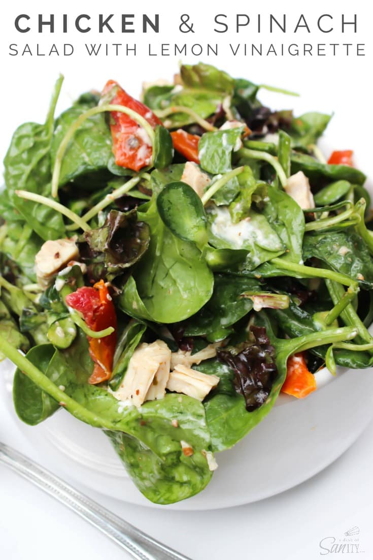 This Chicken & Spinach Salad with Lemon Vinaigrette made with roasted tomatoes, walnuts, and goat cheese is the perfect delicious summer salad. Chicken & Spinach Salad with Lemon Vinaigrette