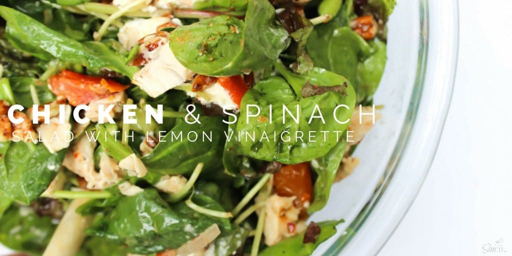 This Chicken & Spinach Salad with Lemon Vinaigrette made with roasted tomatoes, walnuts, and goat cheese is the perfect delicious summer salad. This Chicken & Spinach Salad with Lemon Vinaigrette made with roasted tomatoes, walnuts, and goat cheese is the perfect delicious summer salad.