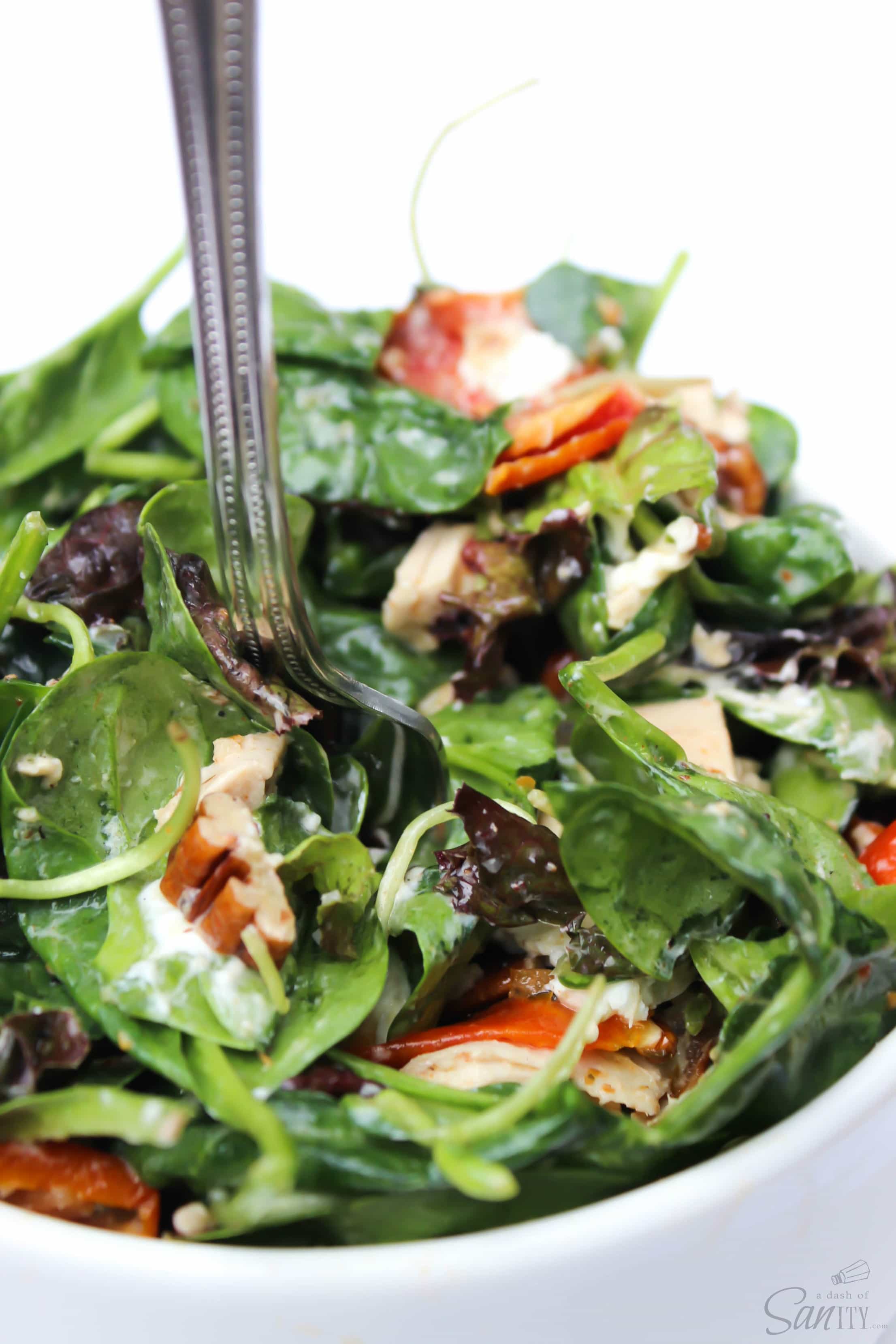 This Chicken & Spinach Salad with Lemon Vinaigrette made with roasted tomatoes, walnuts, and goat cheese is the perfect delicious summer salad. This Chicken & Spinach Salad with Lemon Vinaigrette made with roasted tomatoes, walnuts, and goat cheese is the perfect delicious summer salad.