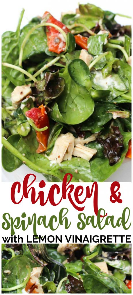 This Chicken & Spinach Salad with Lemon Vinaigrette made with roasted tomatoes, walnuts, and goat cheese is the perfect delicious summer salad. Chicken & Spinach Salad with Lemon Vinaigrette pinterest image