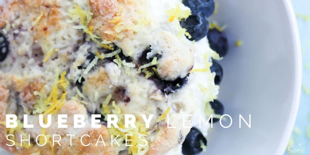 Blueberry Lemon Shortcakes are buttery, not overly sweet fresh blueberry & lemon shortcakes. Filled with delicious lemon whipped cream & fresh blueberries. Blueberry Lemon Shortcakes Twitter