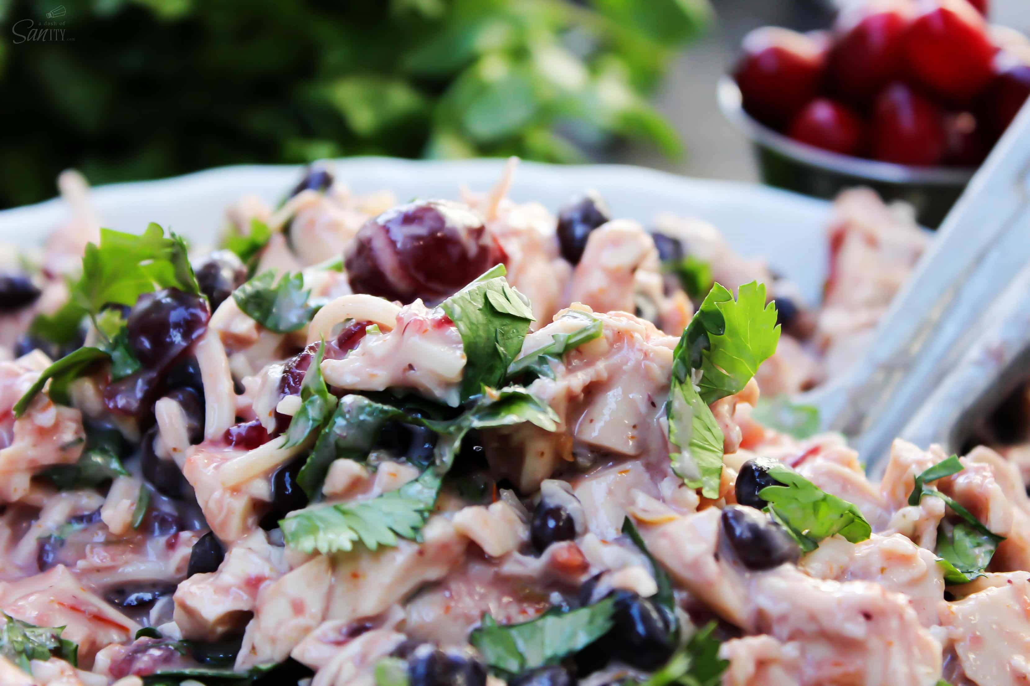 Made with a tangy-sweet sauce these Cran-Turkey Enchiladas are the best twist on enchiladas that I have ever had. Don't wait for the holidays to make these! Made with a tangy-sweet sauce these Cran-Turkey Enchiladas are the best twist on enchiladas that I have ever had. Don't wait for the holidays to make these!