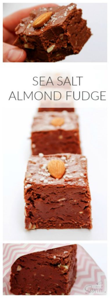 Sea Salt Almond Fudge LONG PIN