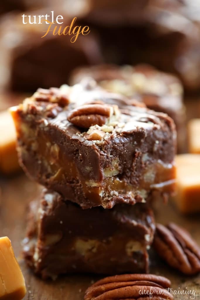 turtle-fudge
