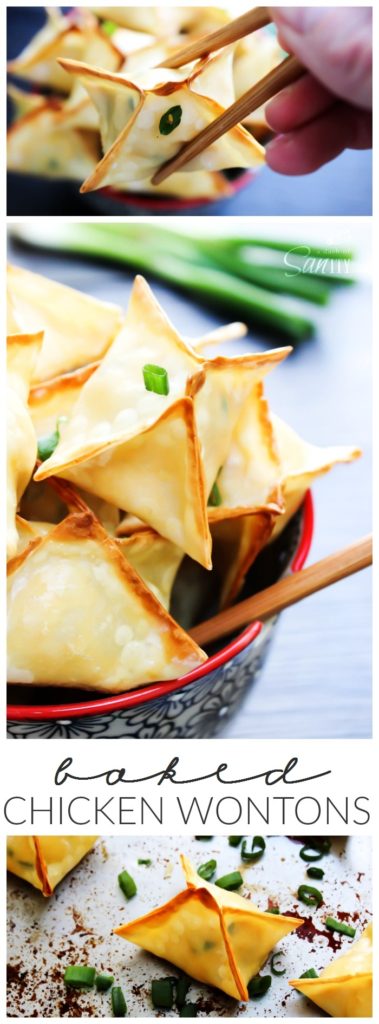 Baked Chicken Wonton LONG PIN 2