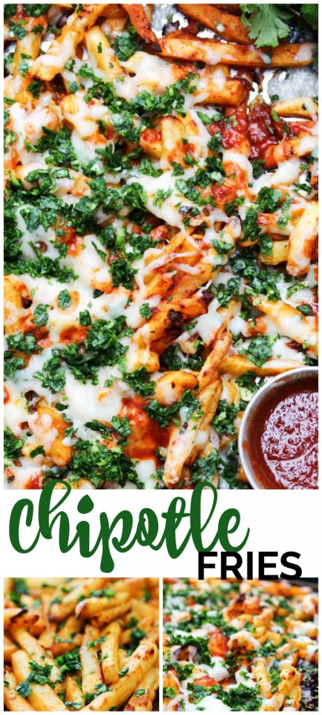 Chipotle Fries pinterest image
