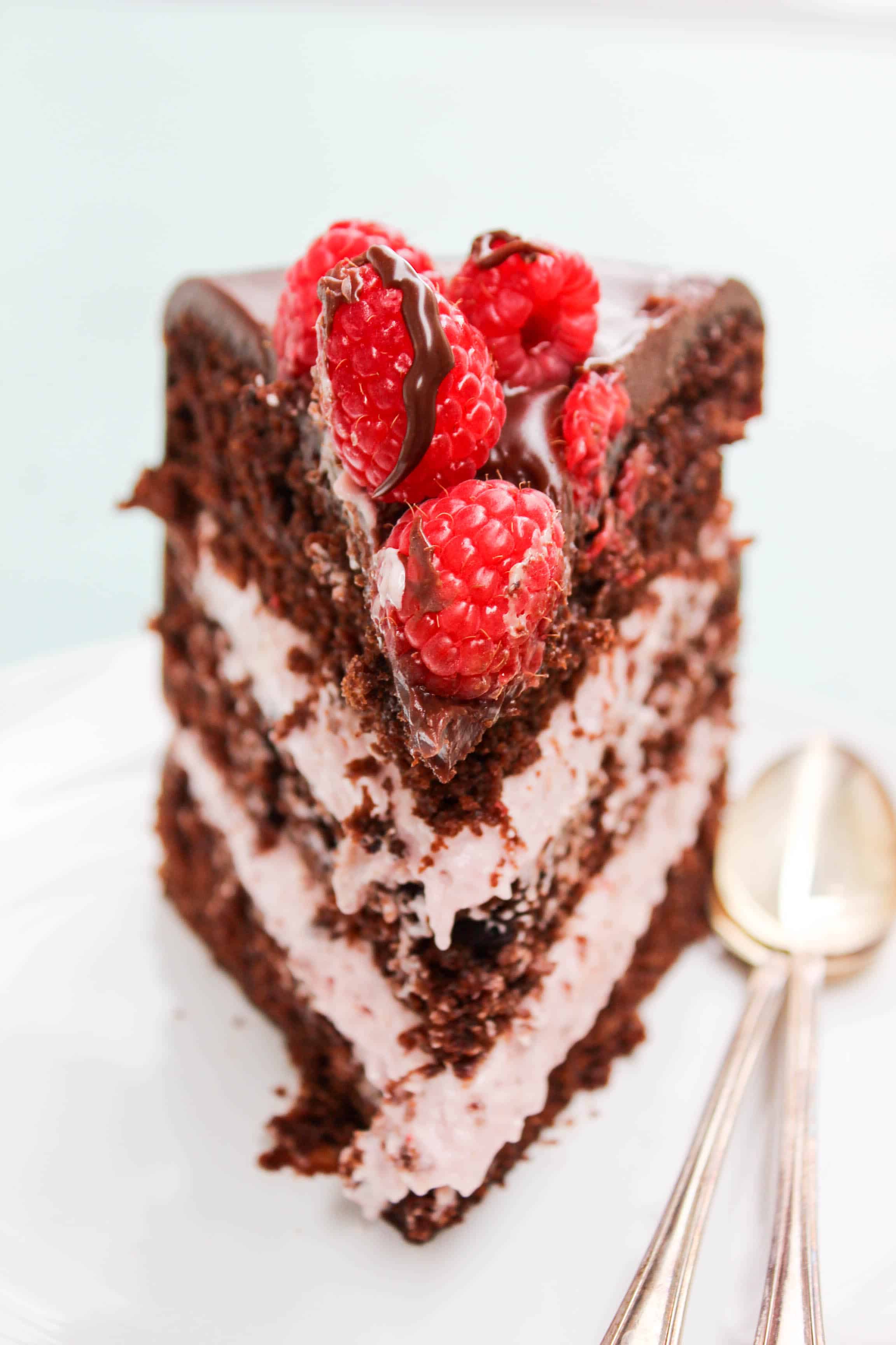 slice of chocolate raspberry cake with layers