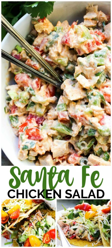 Santa Fe Chicken Salad pinterest image