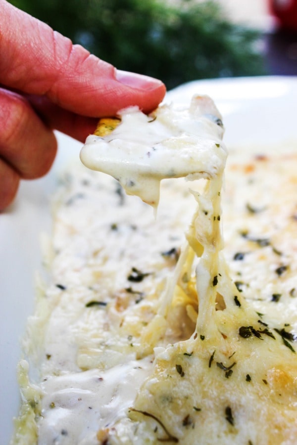 "Skinny" Chicken Alfredo Dip is a light version of my favorite cheesy & chicken dish, converted into a dip. This dip is a soon to be a snack-time favorite. "Skinny" Chicken Alfredo Dip is a light version of my favorite cheesy & chicken dish, converted into a dip. This dip is a soon to be a snack-time favorite.