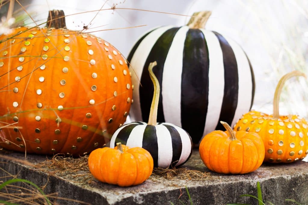 chic-pumpkins