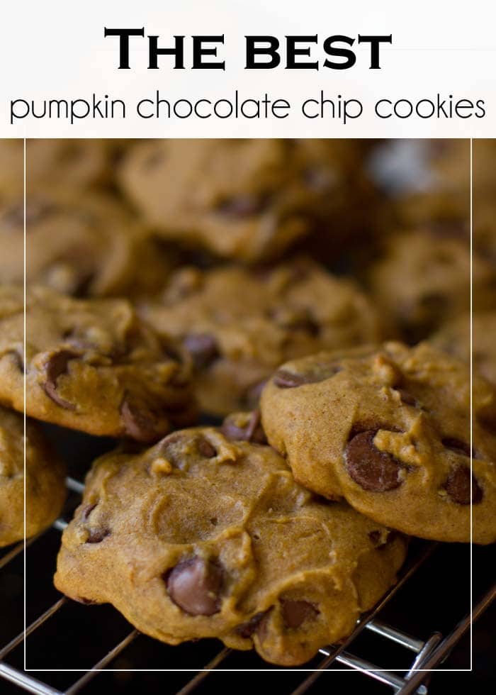 pumpkin chocolate chip cookies