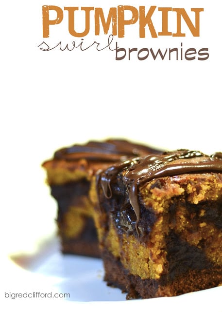 pumpkin-swirl-brownie-lava-cake-recipe