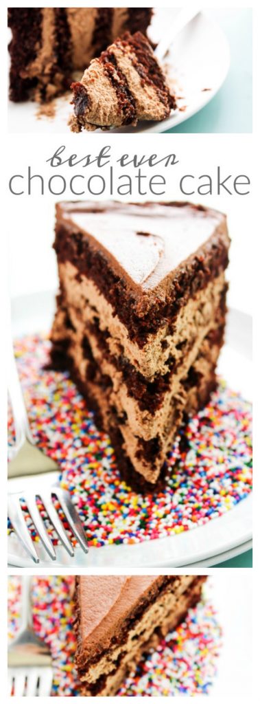 chocolate cake on a white plate with rainbow sprinkles