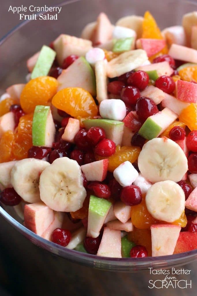 APPLE CRANBERRY FRUIT SALAD