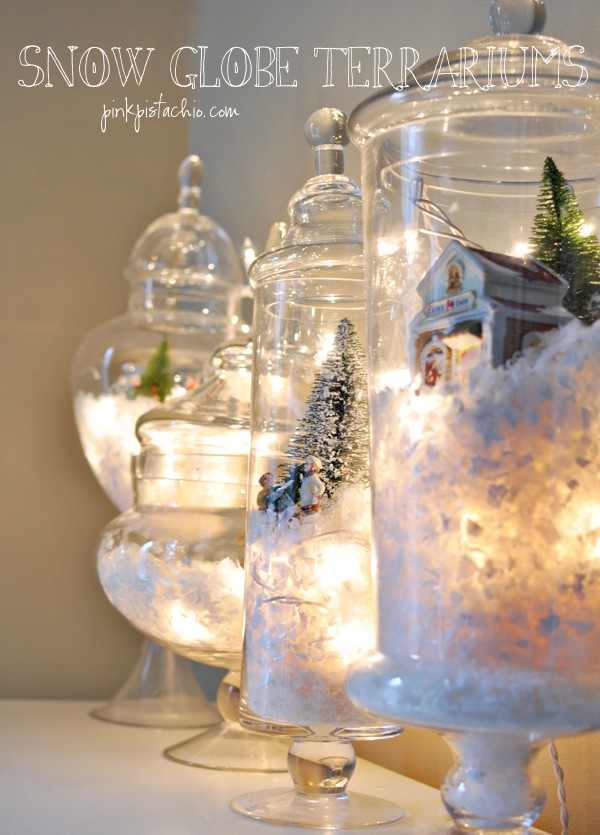 SNOW GLOBE TERRARIUMS