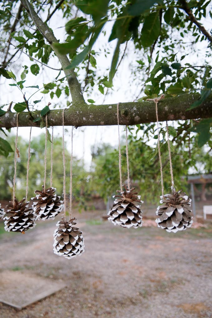 PAINT DIPPED PINE CONES