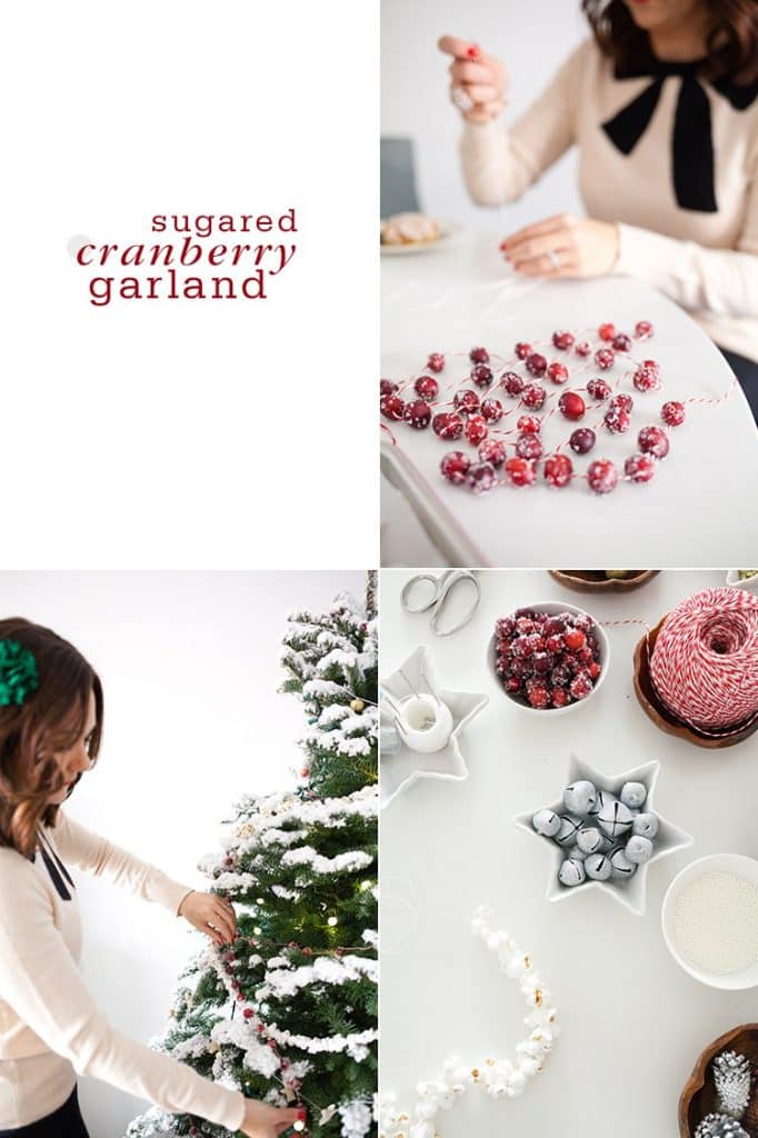 SUGARED CRANBERRY GARLAND