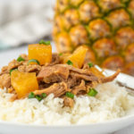 close-up photo of pineapple pork