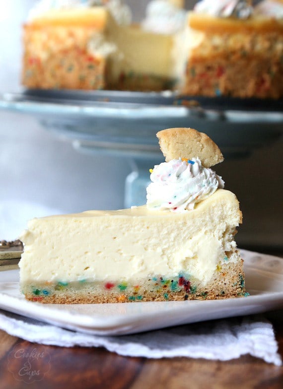 Sugar Cookie Cheesecake