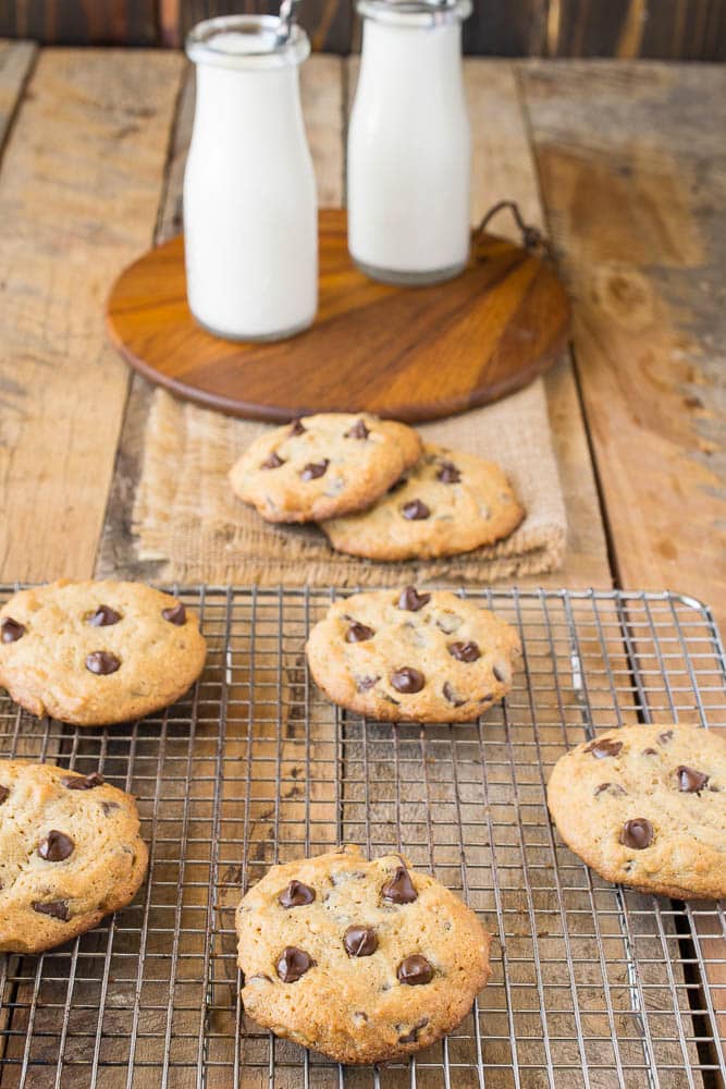 Peanut Butter Chocolate Chip Cookies