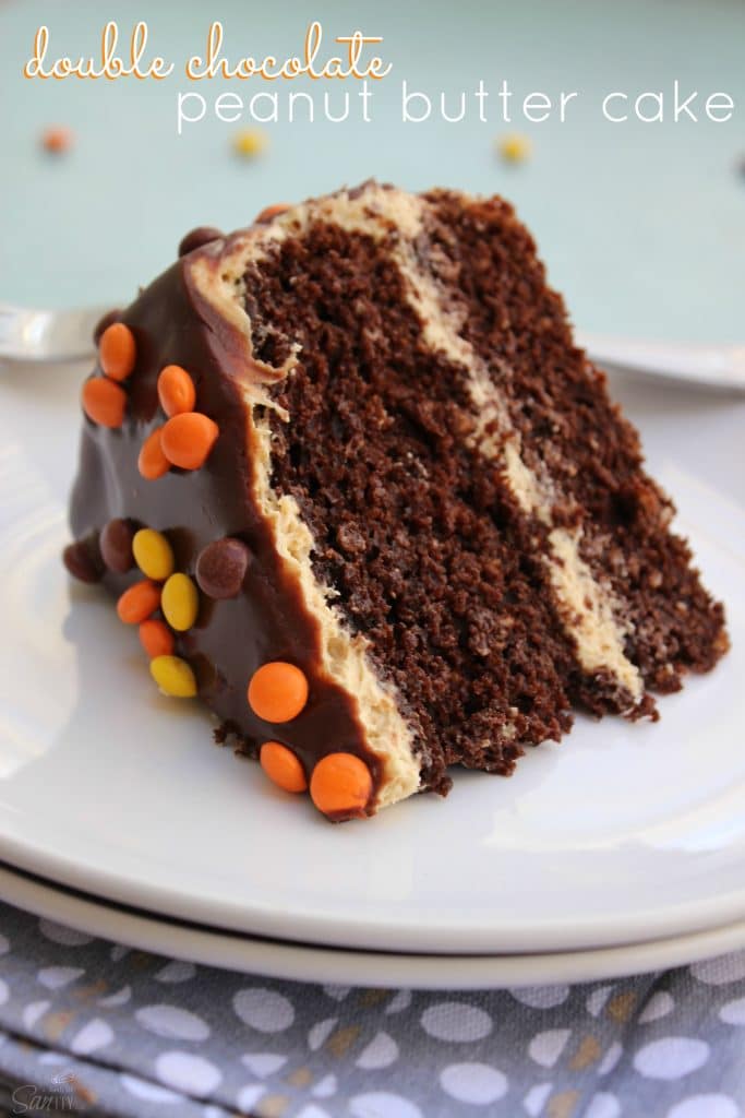 DOUBLE CHOCOLATE PEANUT BUTTER CAKE