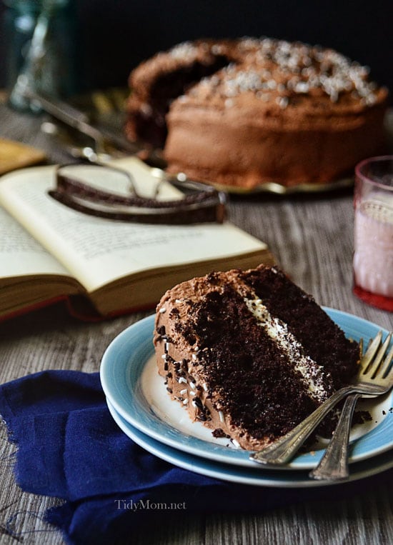 MALTED CHOCOLATE CAKE WITH TOASTED MARSHMALLOW FILLING