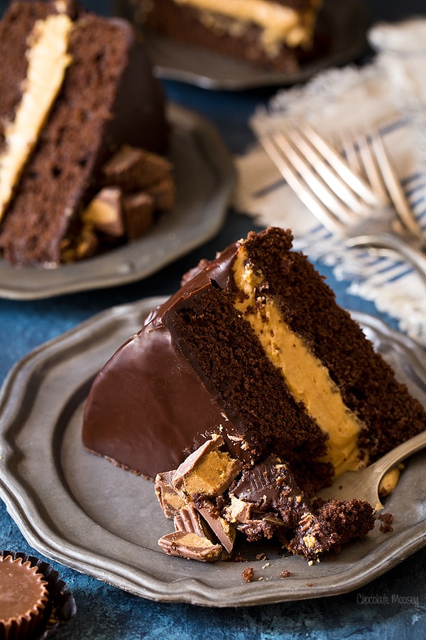 BUCKEYE LAYER CAKE