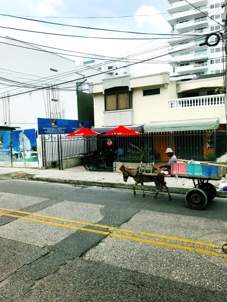 PANAMA CANAL CRUISE: PORTS ARUBA & CARTAGENA, COLOMBIA