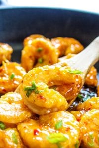 Firecracker Shrimp