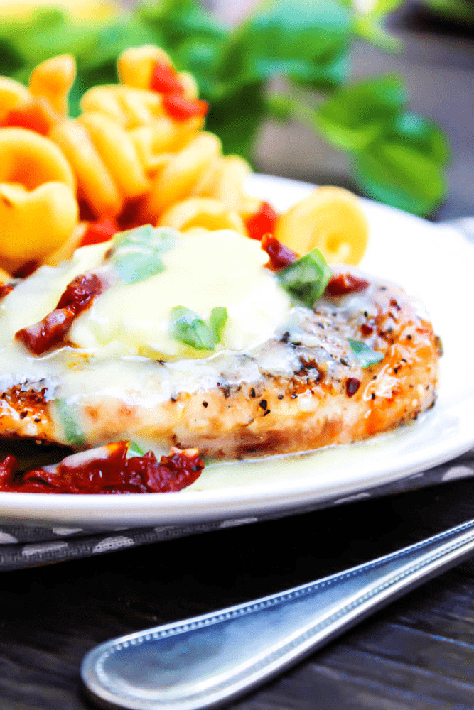 chicken bryan, pasta, sundried tomatoes with lemon butter sauce served on a white plate with basil
