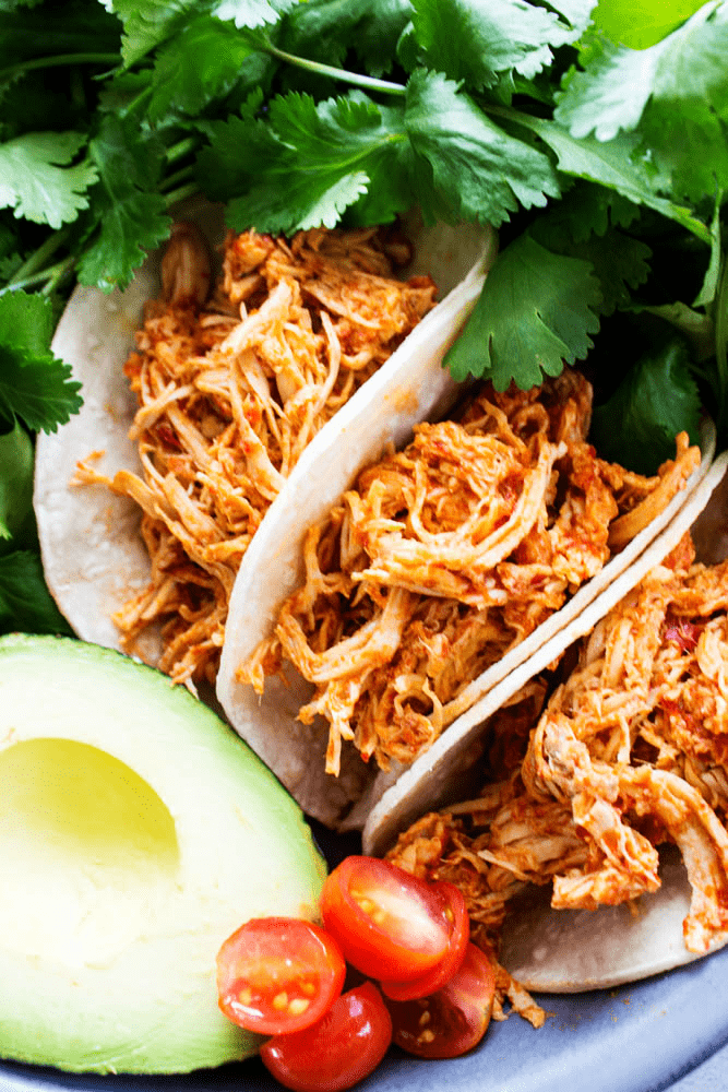 Chile Colorado Slow Cooker Chicken in folded tortillas on a plate with cilantro, half an avocado, and tomatoes