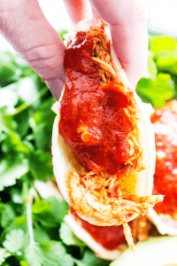 Chile Colorado Slow Cooker Chicken