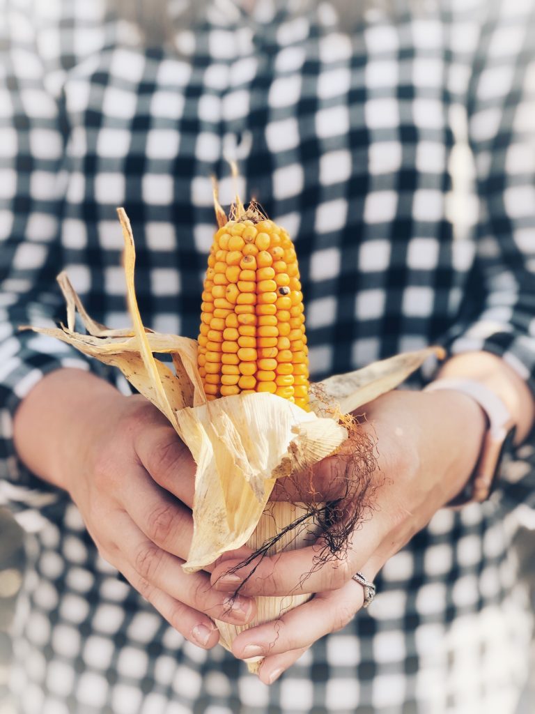 You're going to love this Skillet Cornbread Recipe that's slightly sweet & savory, with a crunchy, buttery crust, from baking it in a cast iron skillet. woman holding a peeled fresh corn cob