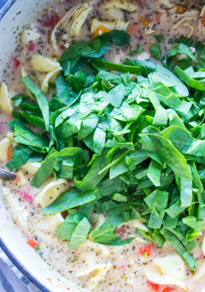 soup topped with fresh spinach