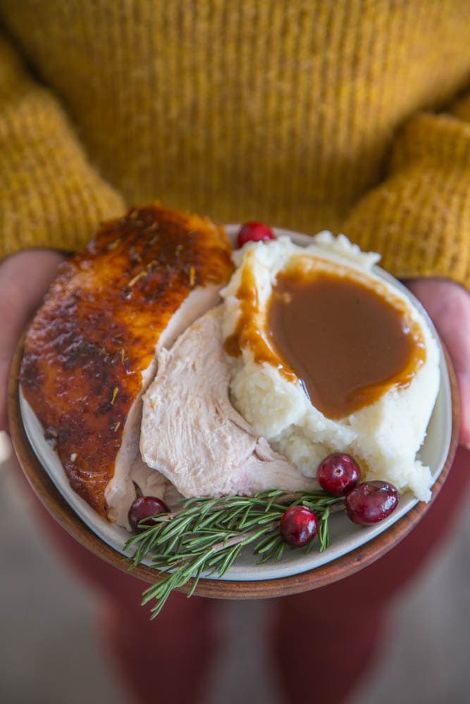 a person holding a plate with turkey and mashed potatoes.